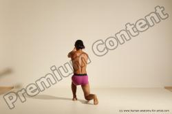 Elmer - Traditional Korean Art